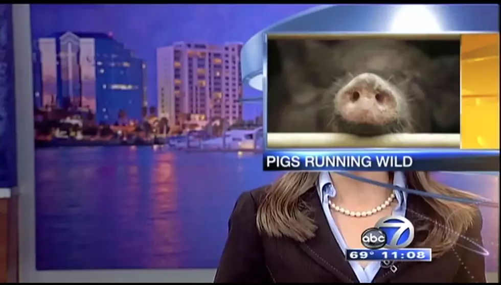 WATCH: The best news bloopers of 2014