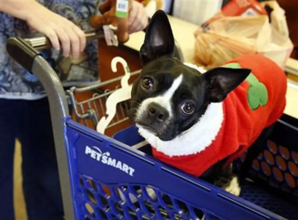 PetSmart is being sold to investor group for $8.7B