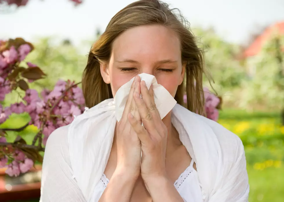 A Pollen Kind Of Weekend For The Jersey Shore