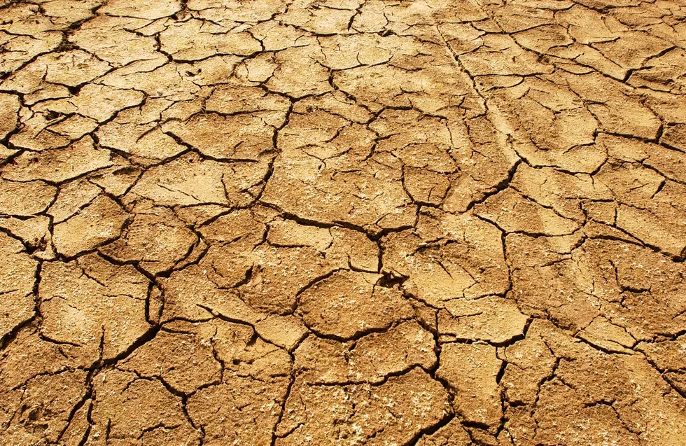 How is the drought affecting you? – Poll