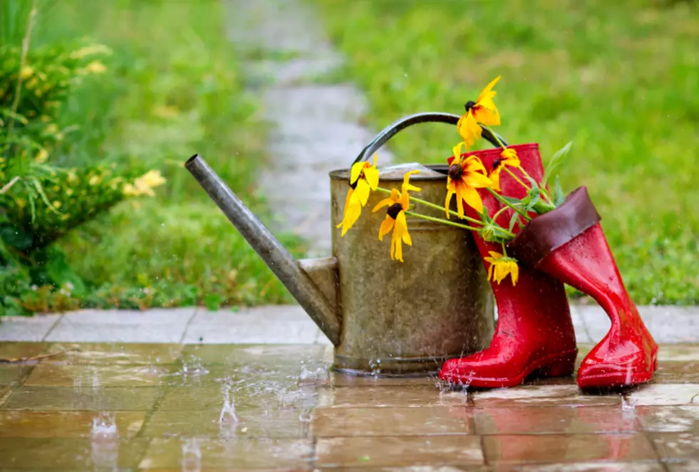 June was fourth wettest on record for New Jersey