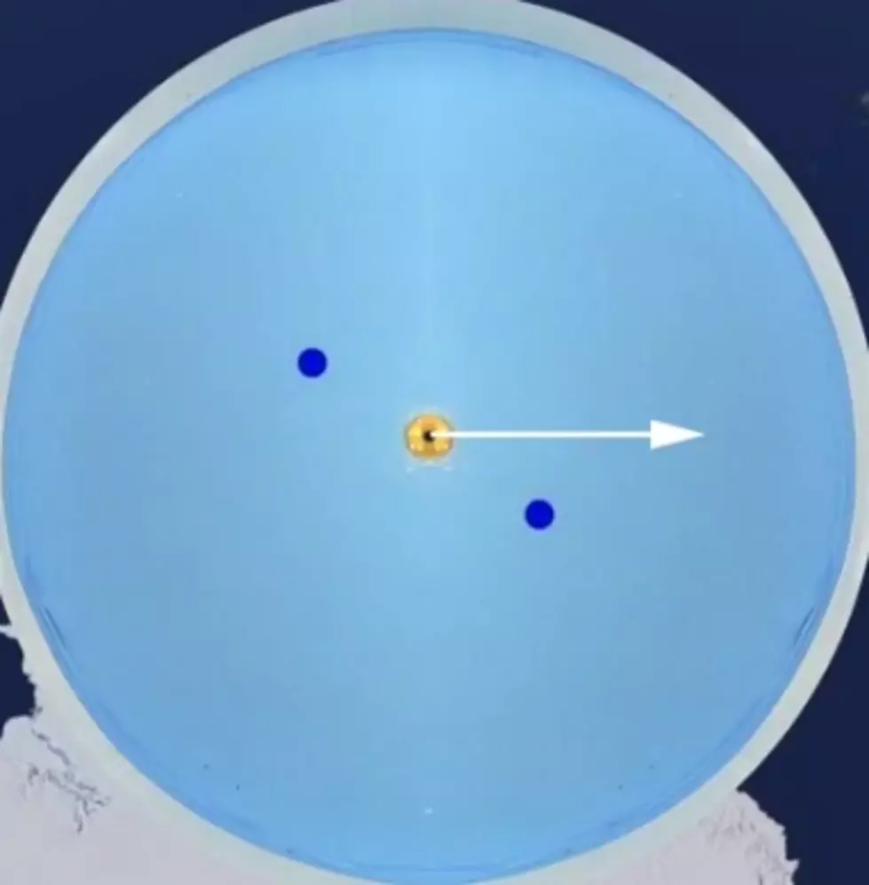 Does water swirl differently in the Southern Hemisphere?