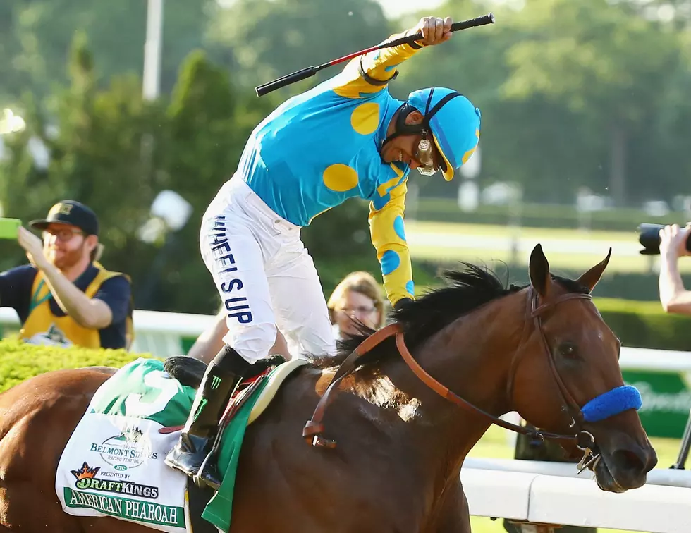 American Pharoah to race at Monmouth Park in Haskell