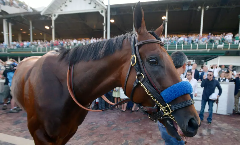 American Pharoah flies first-class to NJ