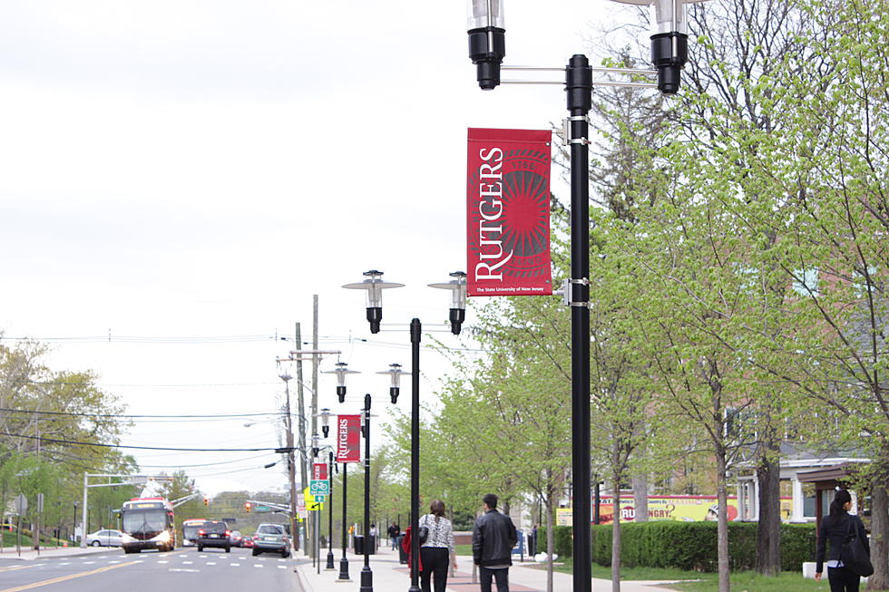 State of NJ herding sheep at local colleges