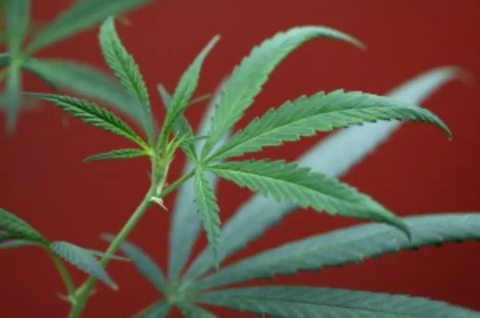 Medical marijuana coming to South Jersey Monday