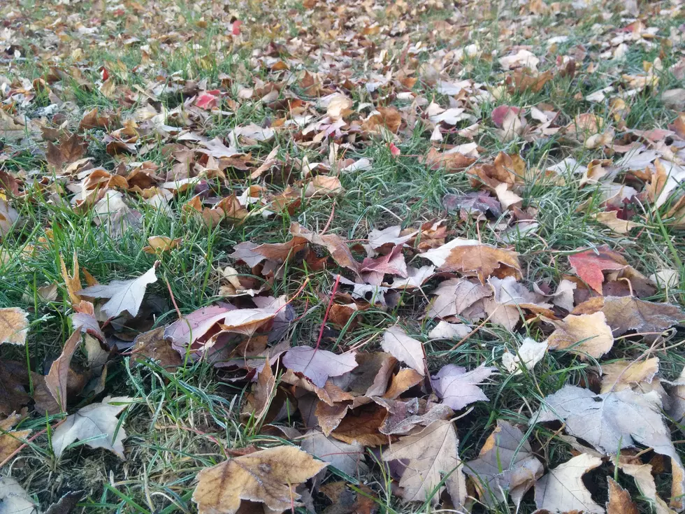The big autumn chill: Skies clear, winds calm, temps drop Friday