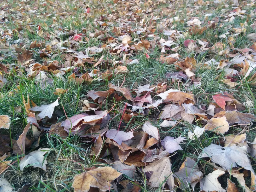 Autumn temperatures and some rain this week for New Jersey