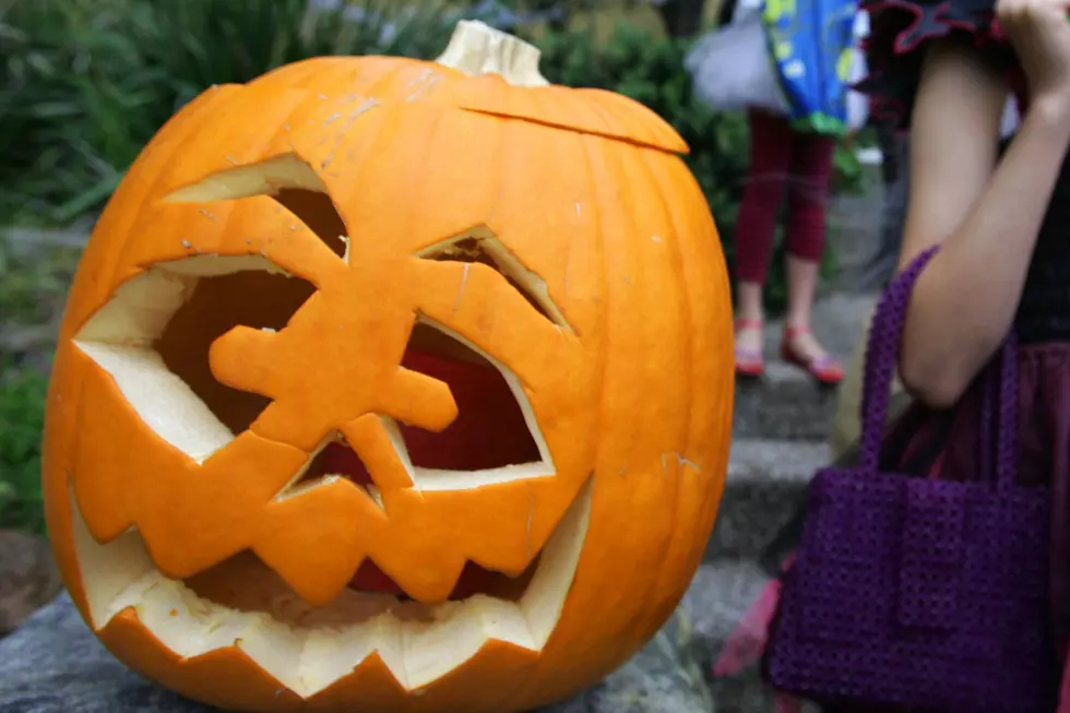 Sydney Celebrates Halloween