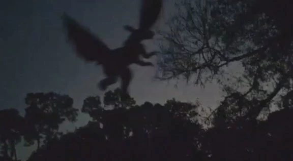 Was the Jersey Devil caught on video?
