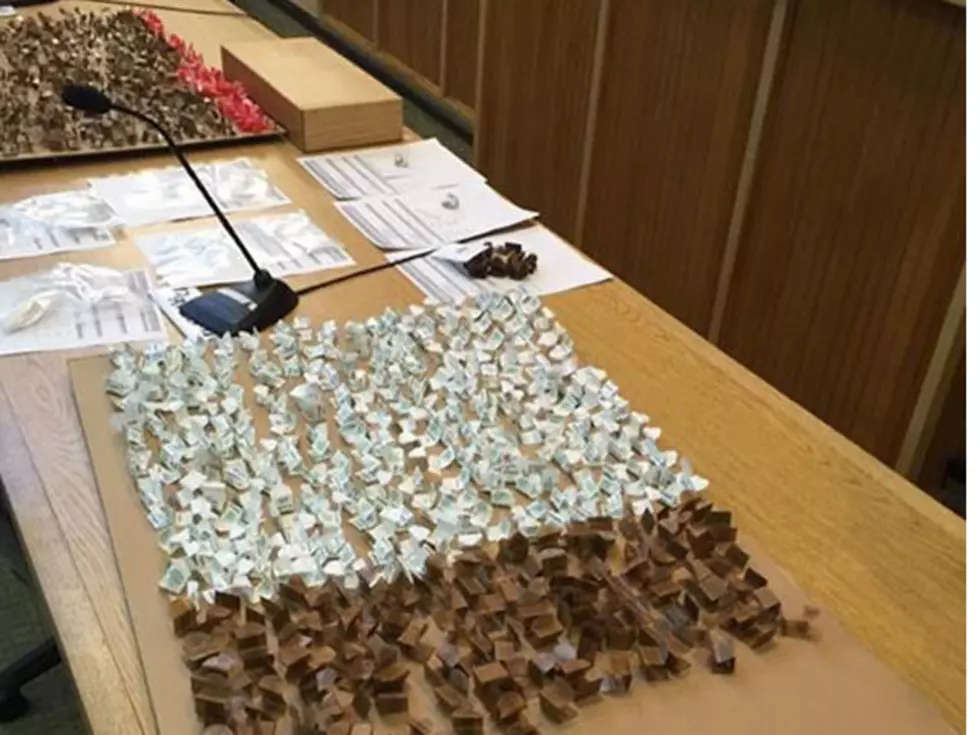 Cops show up for sick kid, found 1,000 bags of heroin