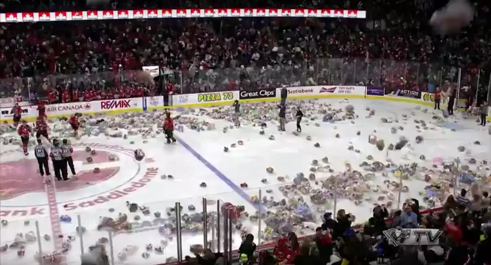 2015 Teddy Bear Toss is a sight for more than just hockey fans