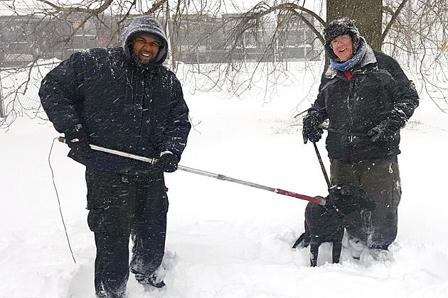 Dog duo survived the snow, cold and gunshots — and now need a home