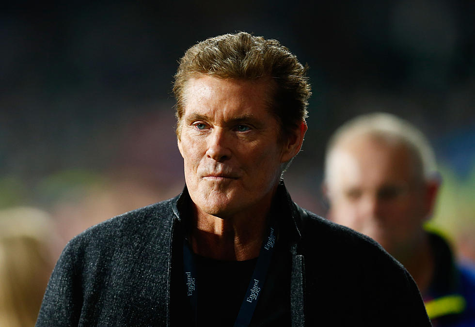 David Hasselhoff back in the TV swim with &#8216;Hoff the Record&#8217;