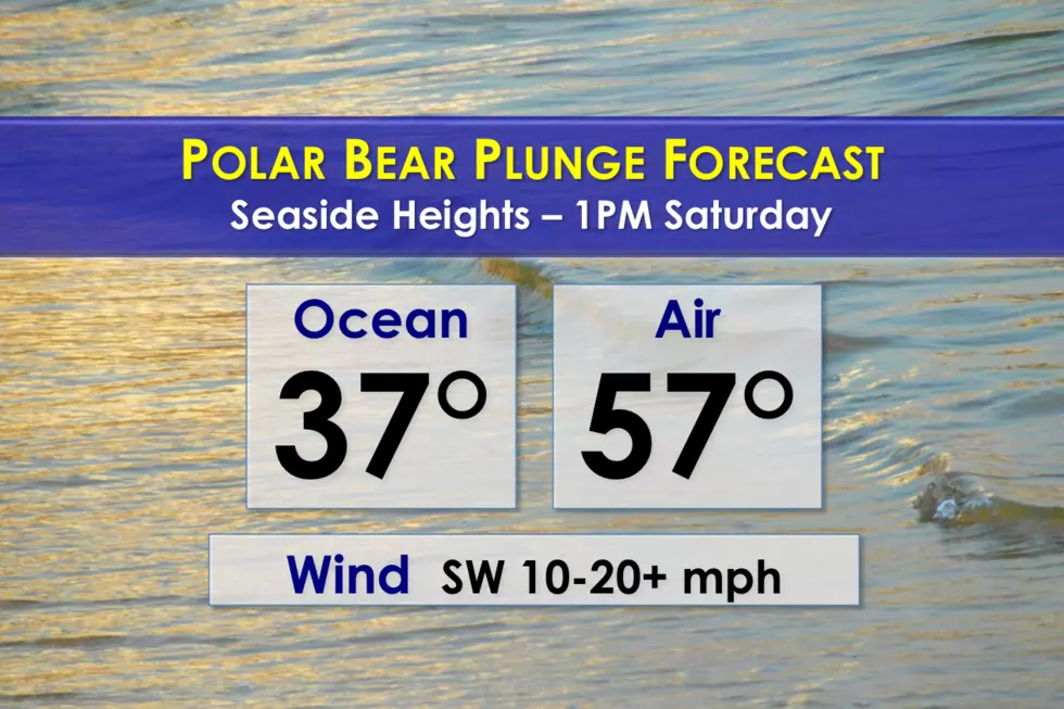NJ Polar Bear Plunge forecast: Mild air, frigid ocean