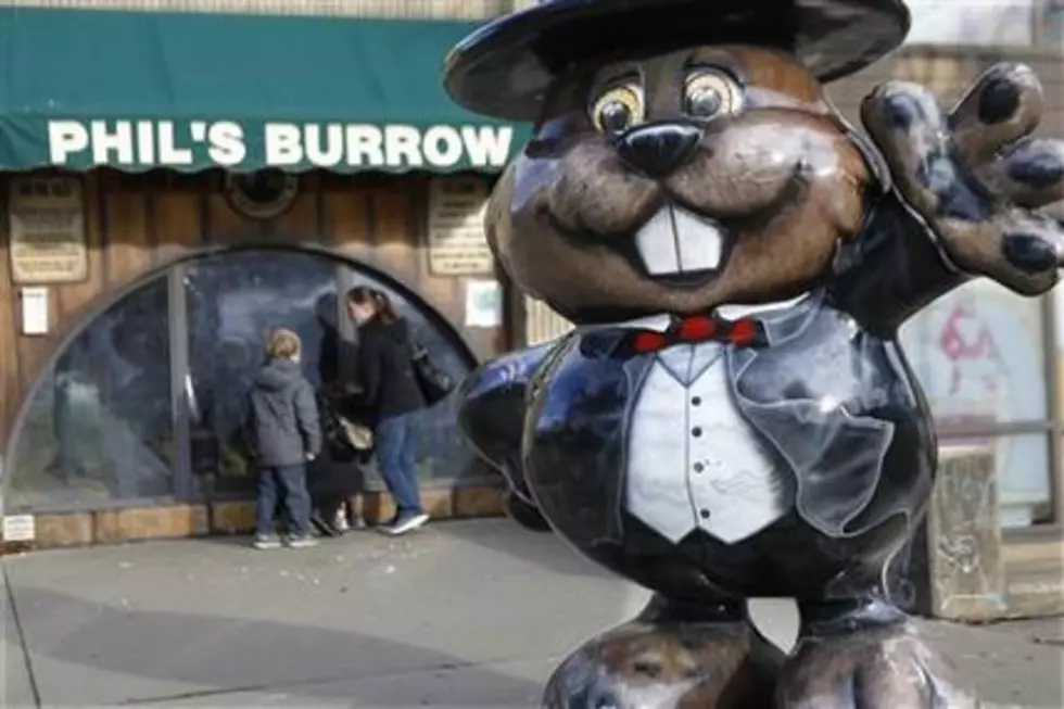 No shadow: Pennsylvania groundhog ‘predicts’ early spring