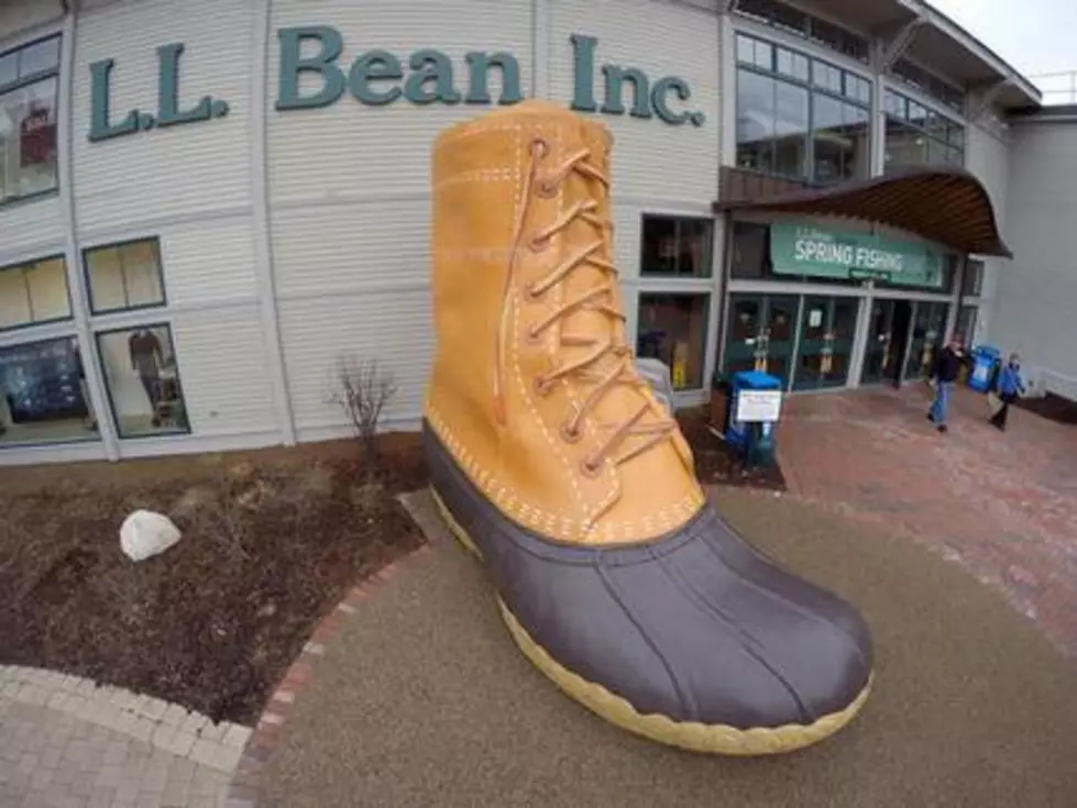 L.L. Bean reports flat sales in tough year for retailers