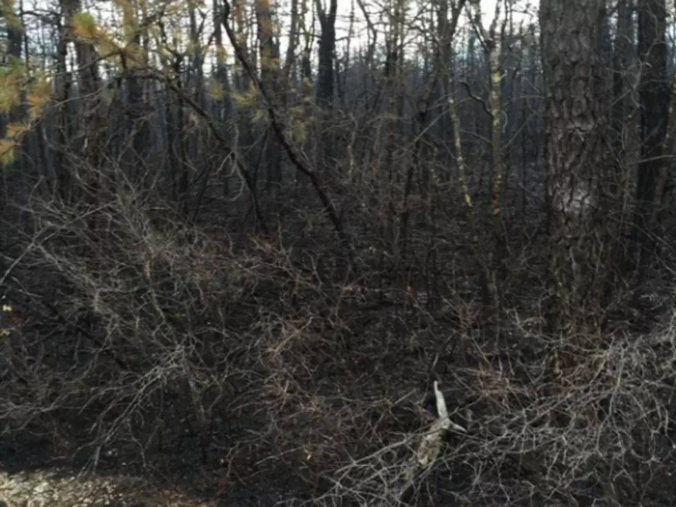 Wildfire burns 350 acres in on Burlington-Ocean county border