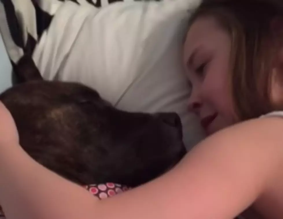 WATCH: Adorable Jersey girl sings ‘You Are My Sunshine’ to dog