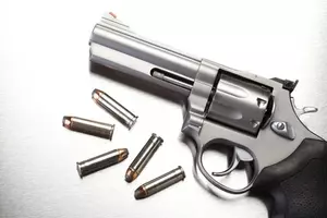 Senate aims to shoot down Christie&#8217;s gun permit expansion