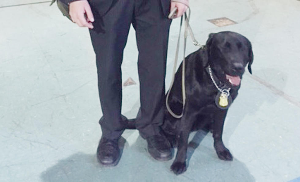 This dog will help FBI take bite out of cyber crime in New Jersey