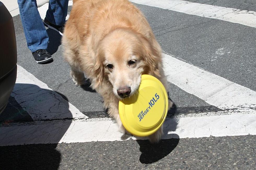 SEE PHOTOS: Millburn-Short Hills Street Fair 4/17/16