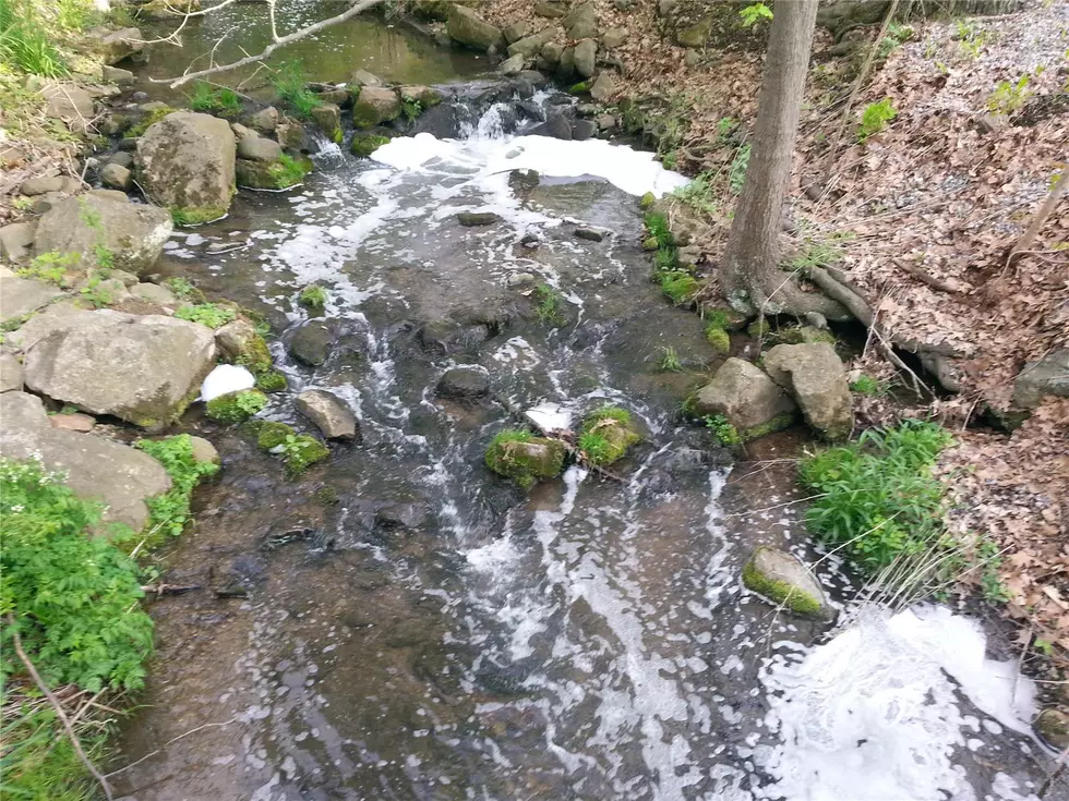 Hunterdon fishing brook improving days after detergent spill