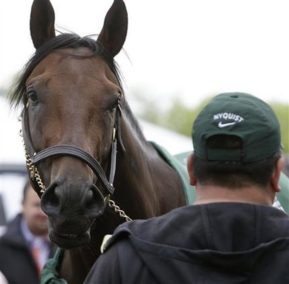 Preakness 2016: Everyone loves Nyquist, even his rivals