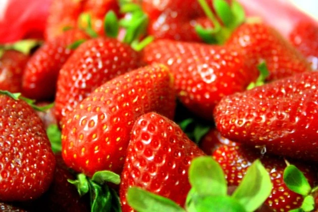 jersey strawberries