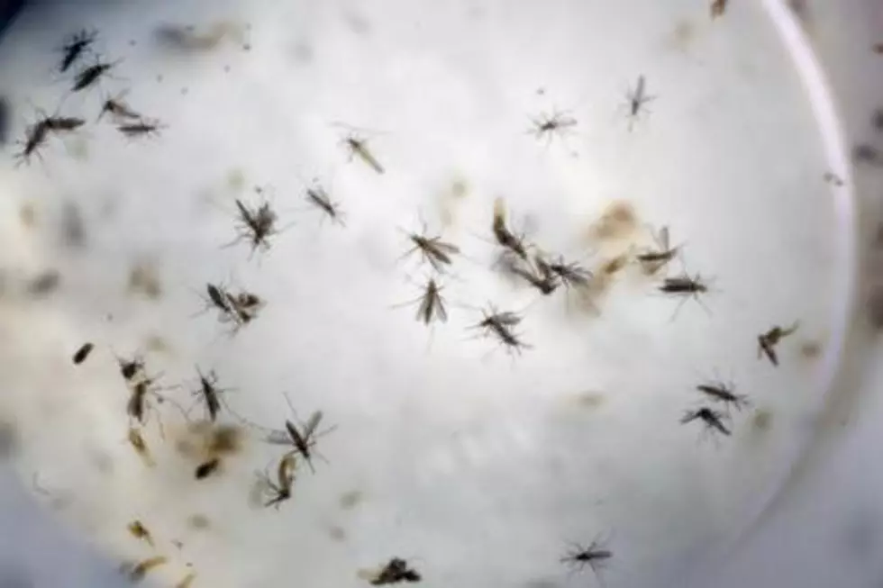 After 3 months, Congress ready to act on Obama&#8217;s Zika call