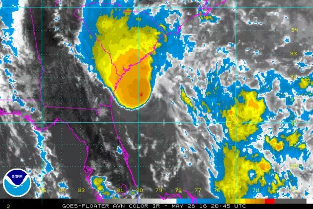 Tropical Storm Bonnie forms off South Carolina