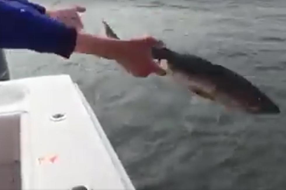 Monmouth fisherman in hot water for fish-tossing video