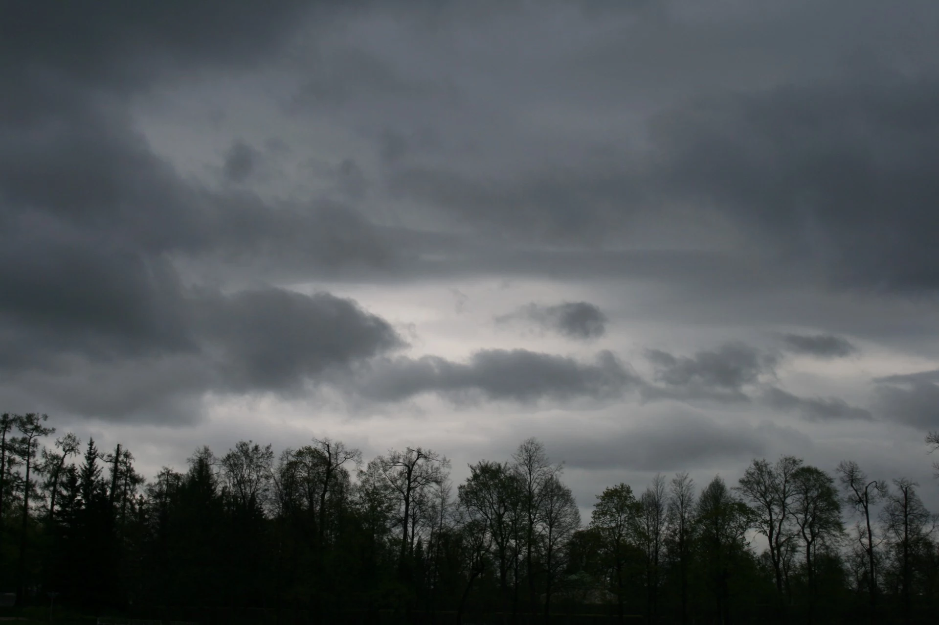 https://townsquare.media/site/385/files/2016/05/grey-sky-above-the-trees.jpg