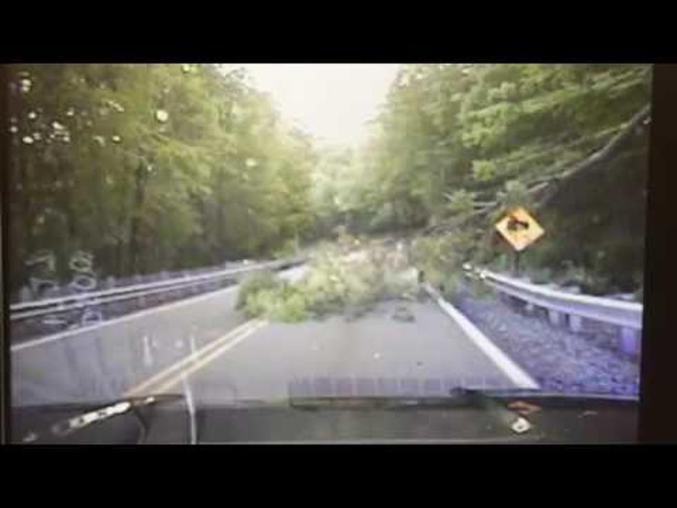 Yikes! Tree falls on NJ cop responding to road block (WATCH)