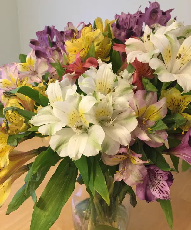 My wife&#8217;s Mother&#8217;s Day flowers get better every day &#8230; like her (awwwww)
