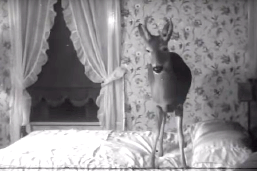 Meet Pete: Barnegat’s car-riding, bed-loving pet deer from 80 years ago