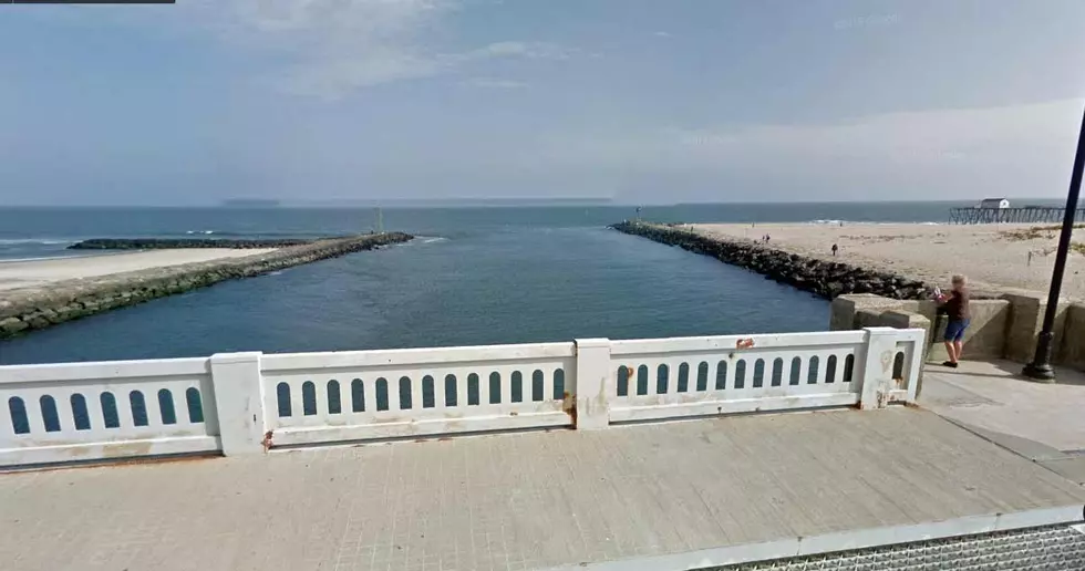 How did dog end up dead in Jersey Shore inlet?