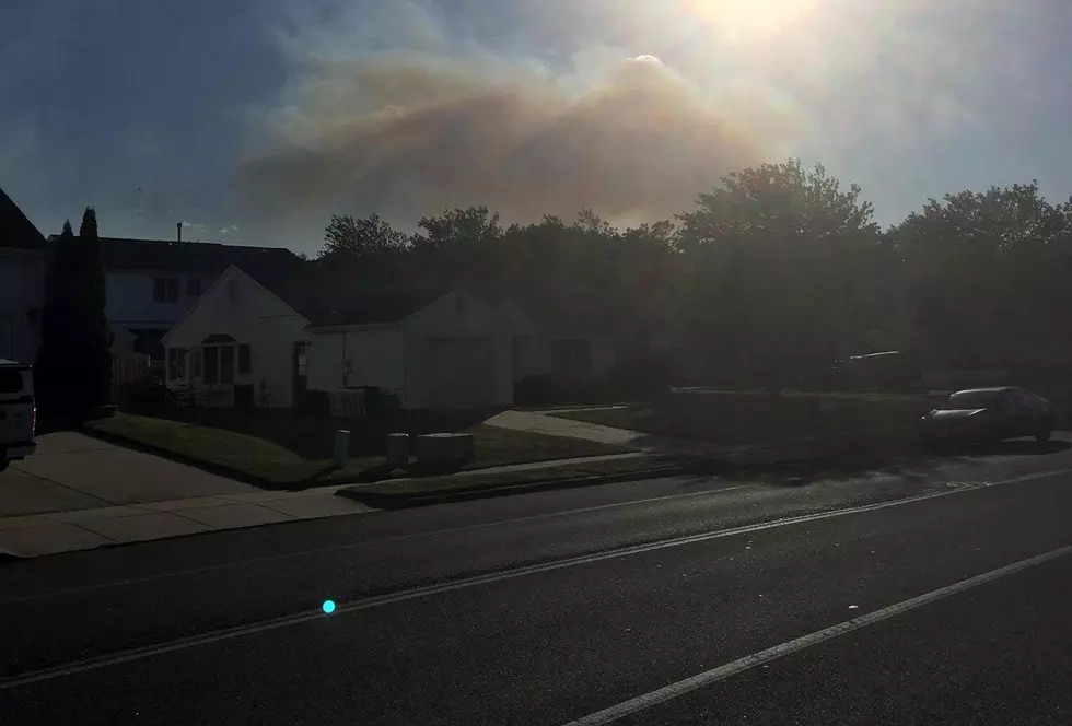 4th suspicious brush fire set in an NJ forest this week