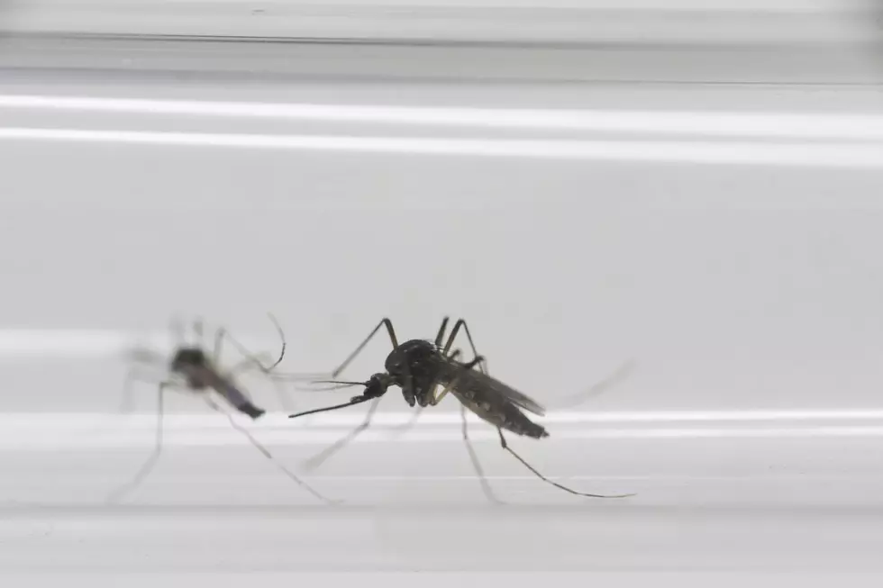 Lawmakers to go on recess without addressing Zika