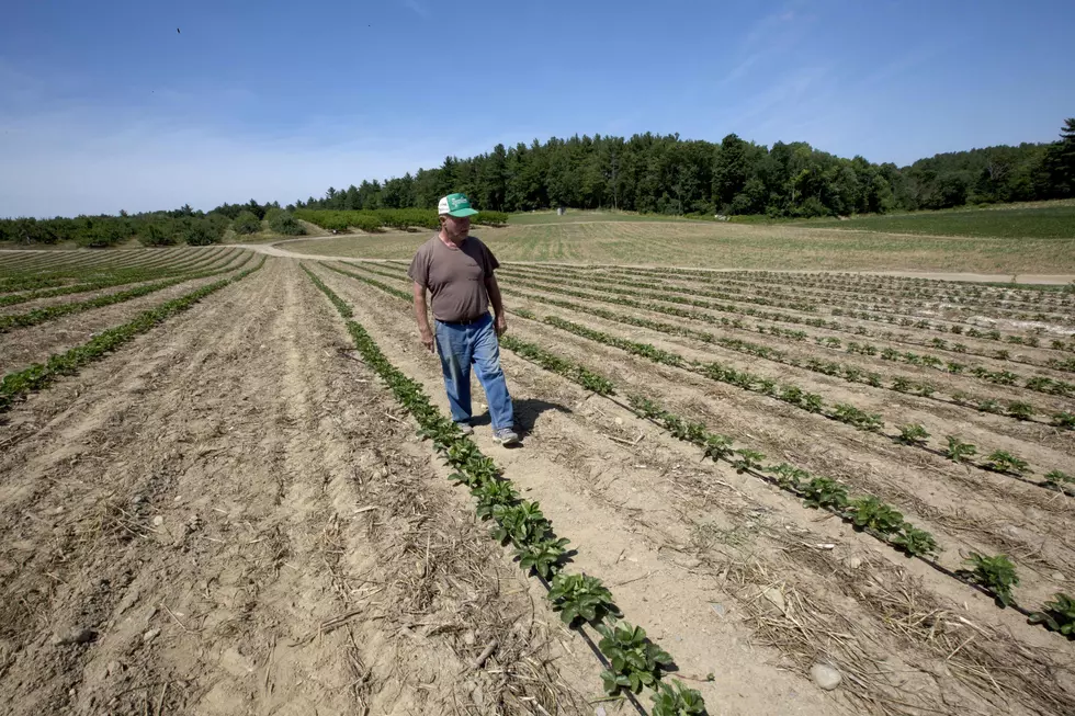 Drought hits Northeastern US, could last months