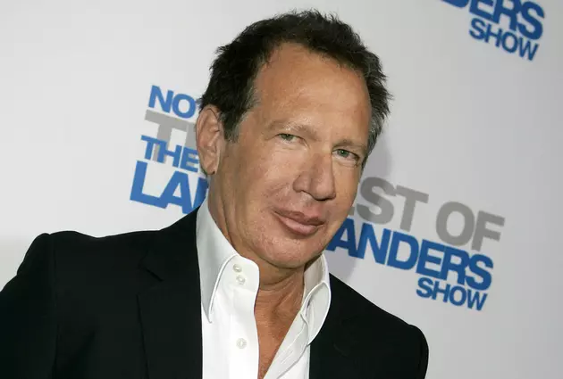 Artwork from comedian Garry Shandling&#8217;s estate to be sold