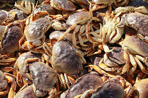 Found a tagged crab? You could win $1,000