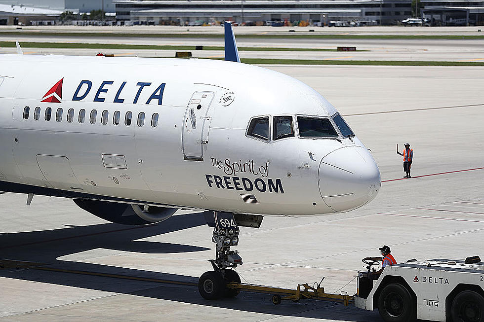 Dog bound for Newark dies on cross-country Delta flight