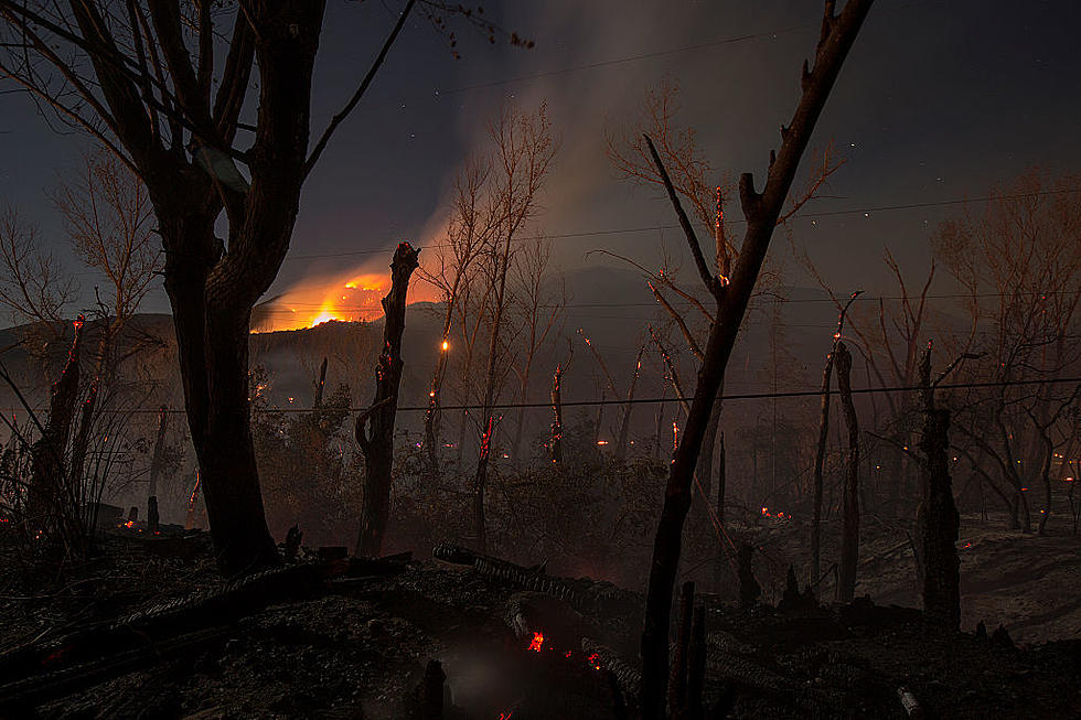 Could California mega wildfires happen in NJ’s Pinelands?