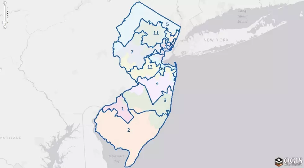 Election ‘Redistricting’ in New Jersey &#038; Why it Matters