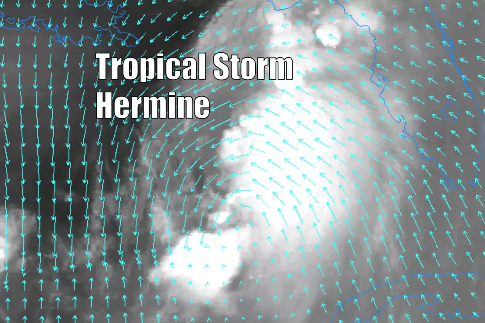 An Eye on Hermine