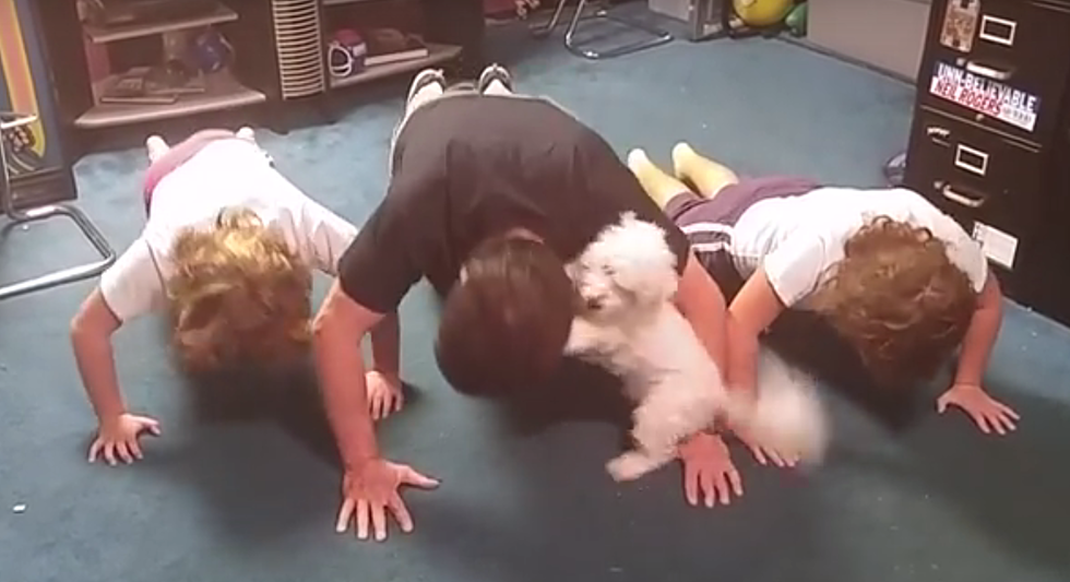 Watch Trev’s dog try to keep him from doing Push-up Challenge