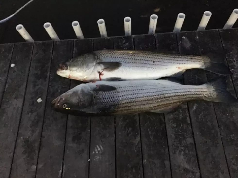 Dennis Malloy shows off a Jersey striper and oceanview sunset