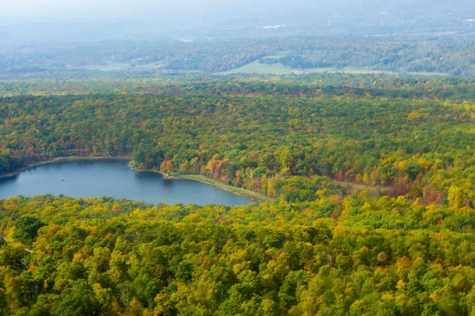 Murphy is making entry to all NJ state parks free