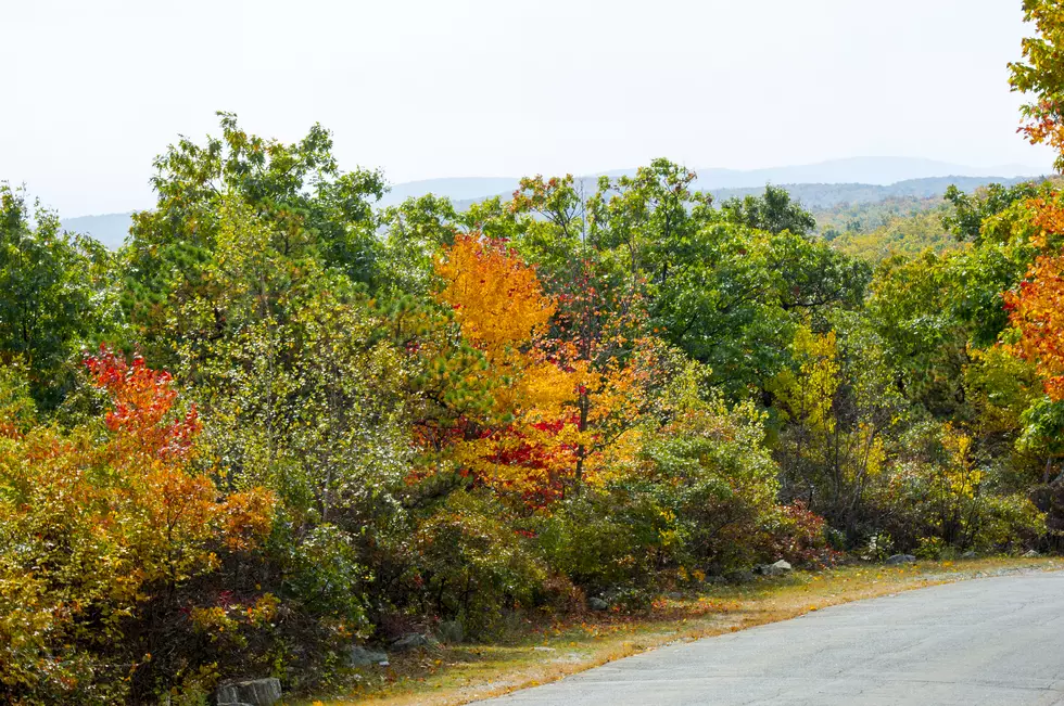 Jersey&#8217;s colorful autumn landscape: Bill Doyle&#8217;s adventure to High Point State Park